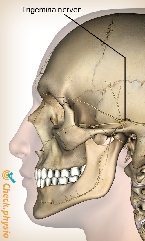hode cervikogen hodepine CGH nervus trigeminus
