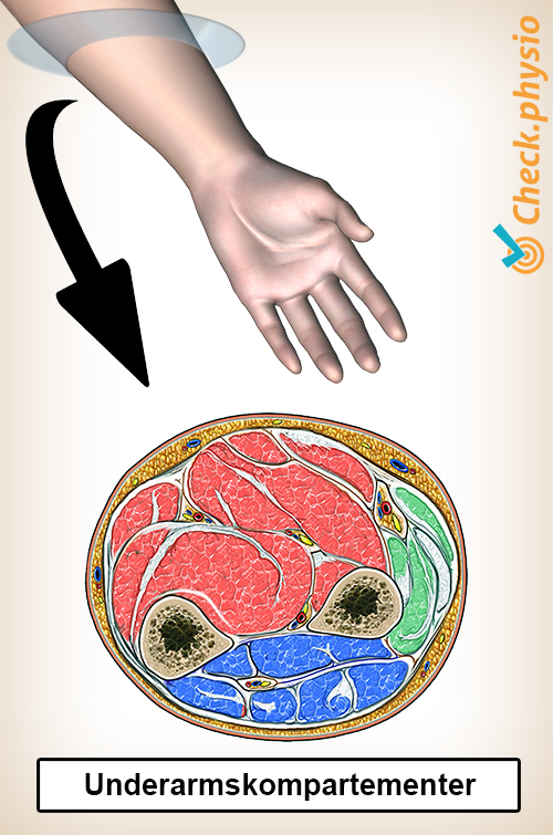 underarm rom
