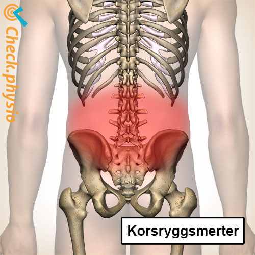 rygg korsryggsmerter ryggrad skjelett