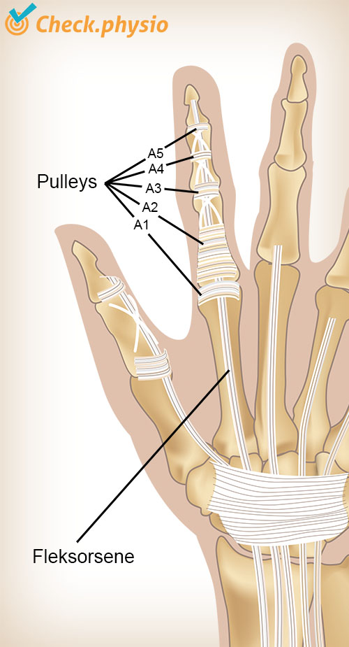 hånd finger trinser